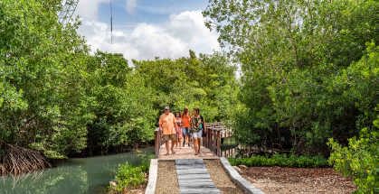 /clients/Rif-Mangrove-Park/Rif-Mangrove-5.jpg